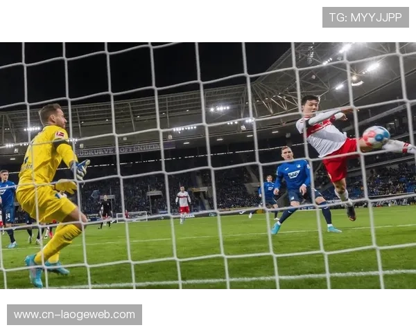 霍芬海姆队长许布纳因伤病反复，遗憾挂靴结束职业生涯